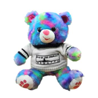 Head of the Charles Multicolored Plush Bear