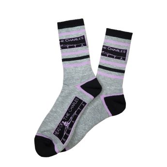 Head of the Charles Socks