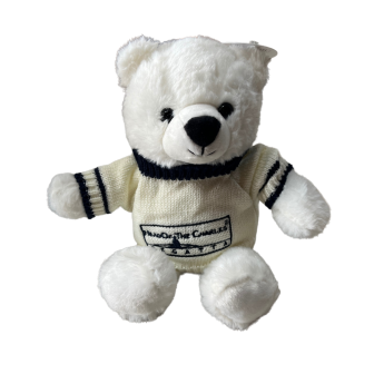 Head of the Charles White Teddy Bear